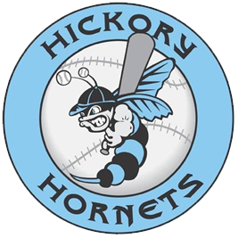 Hickory Hornets 